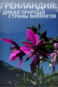 Гренландия: Дикая природа страны викингов (2005)